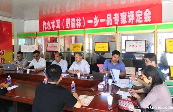 betway必威西汉助力“万企帮万村”——柞水木耳（野森林牌）betway必威西汉现场评价顺利实施