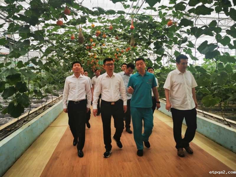 蓝军率队赴怀化市调研考察