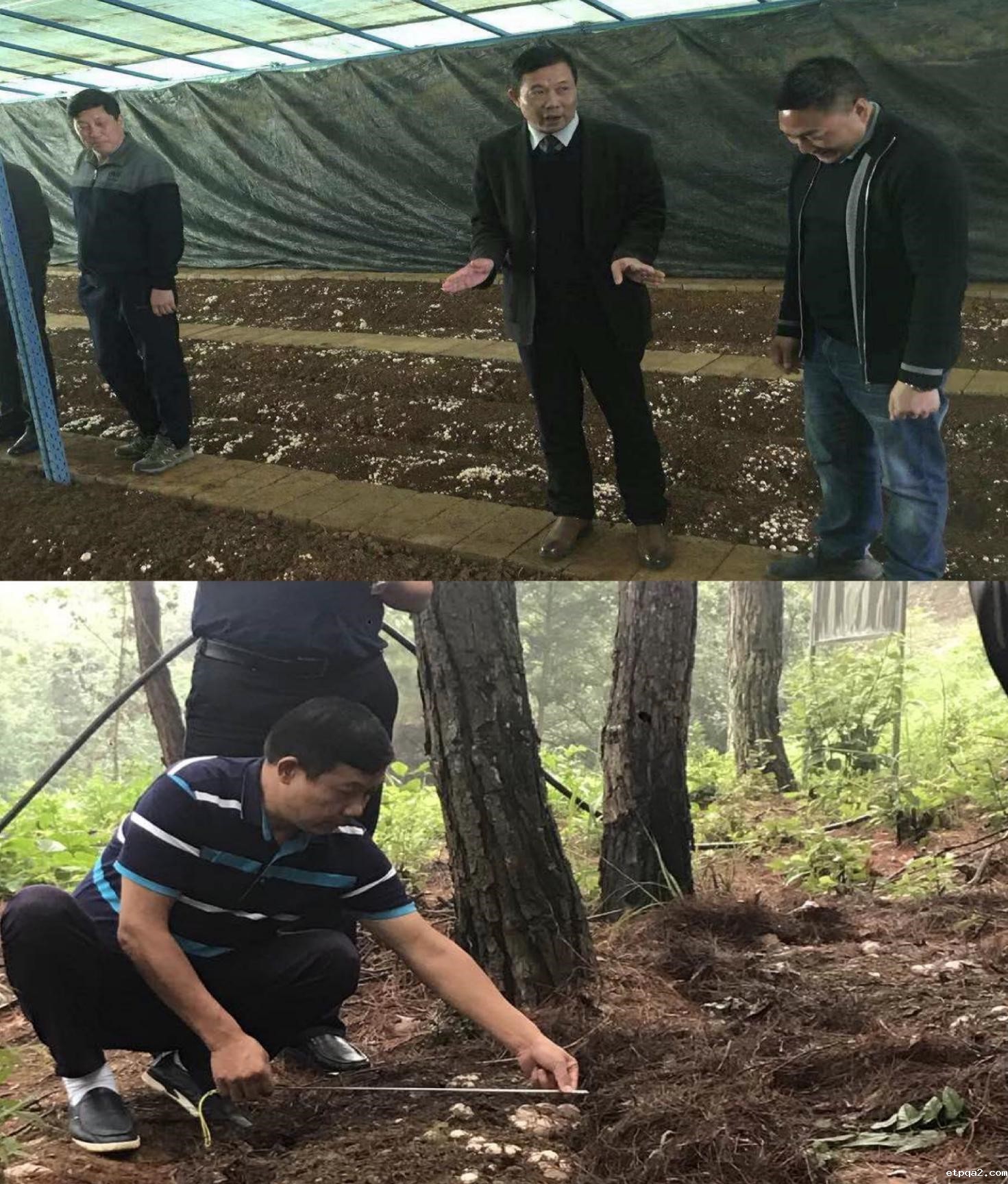 中国民贸调研组赴贵州考察