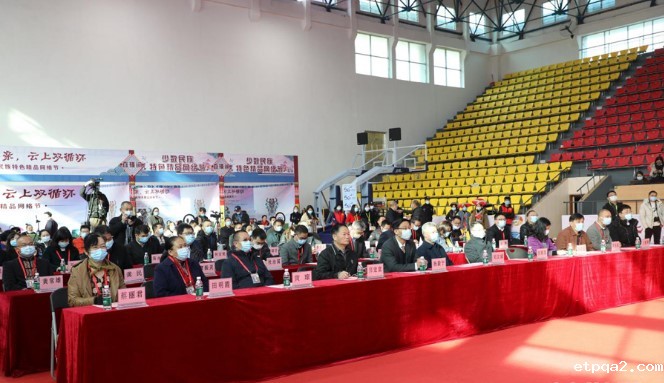 张福阳应邀为“全国首届少数民族特色精品网络节”开幕式致词