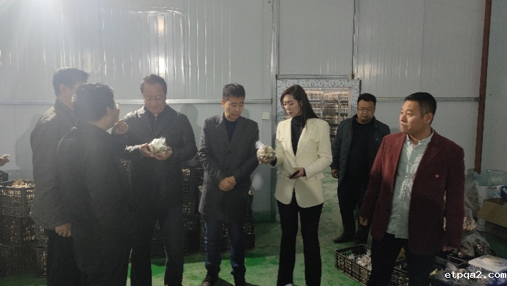 开春调研记 | 高福一行赴邯郸市广平县调研考察