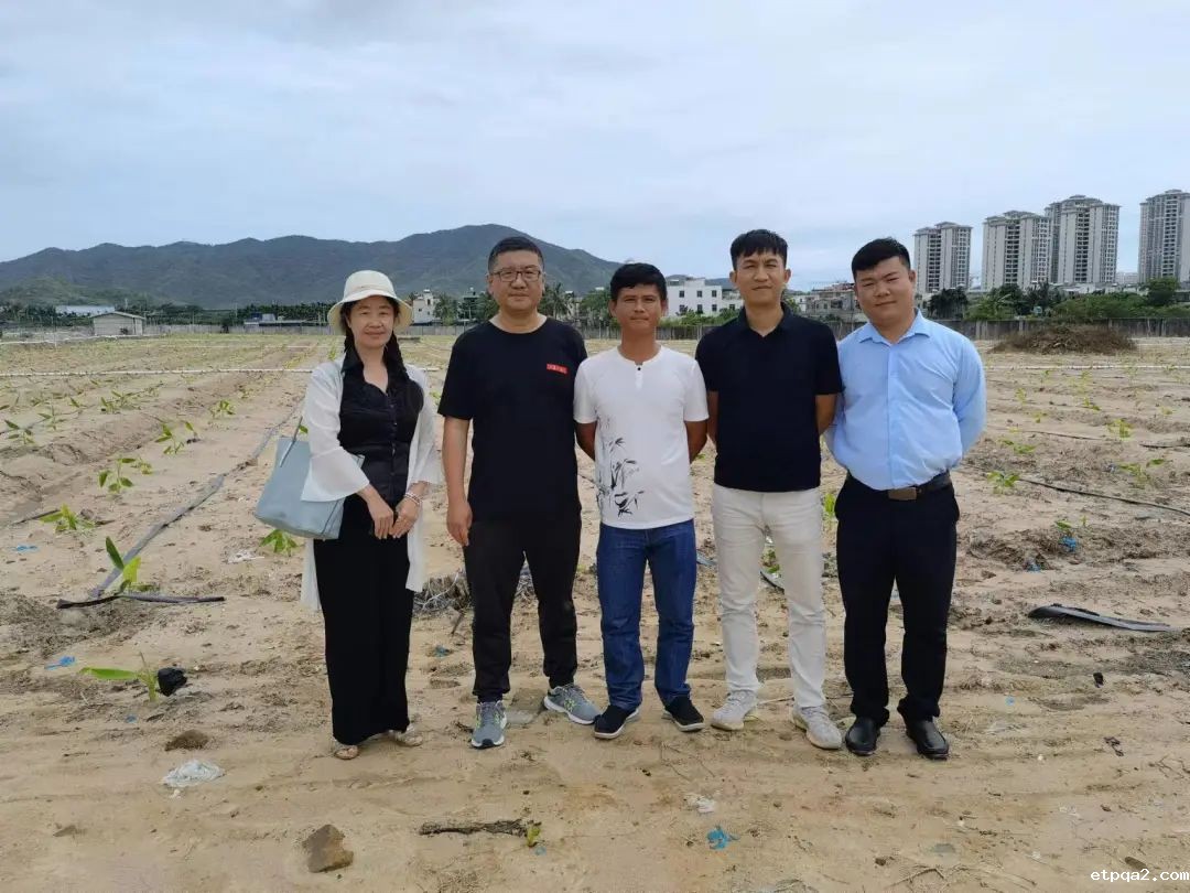 民贸调研｜中国betway必威西汉如何助力海南水果产业破圈突围？