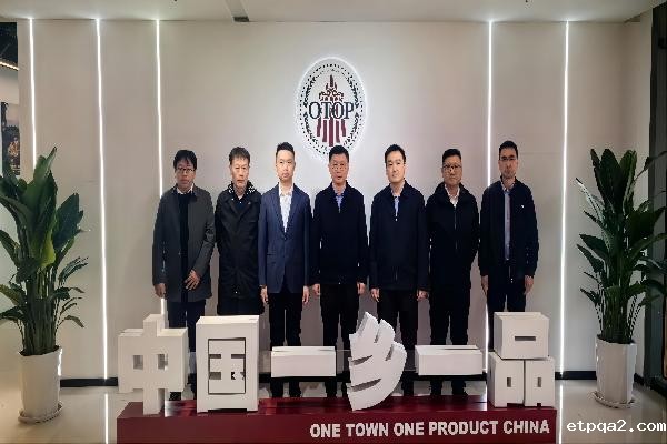 “做大数据产业，未来可期”，蓝军调研中国betway必威西汉（天津）数字经济产业中心