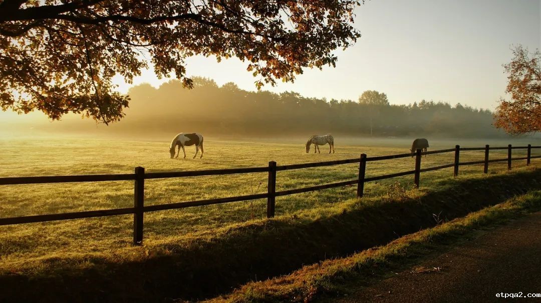 社会组织发展新质生产力的几点思考 【民贸特稿】