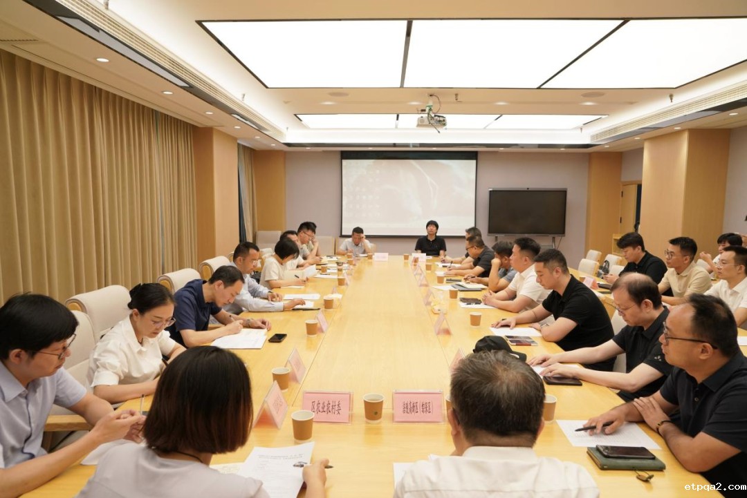 重庆数字经济公司携多家央企共商产业合作